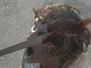 DOTD TIMELINE NEW WM Kopie (1) 116 The Walking Dead "Machete Zombie"